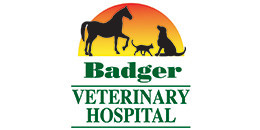 Badger Veterinary Hospital